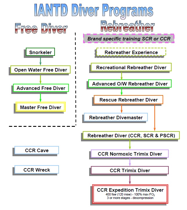 IANTD Course Progression Flow Chart